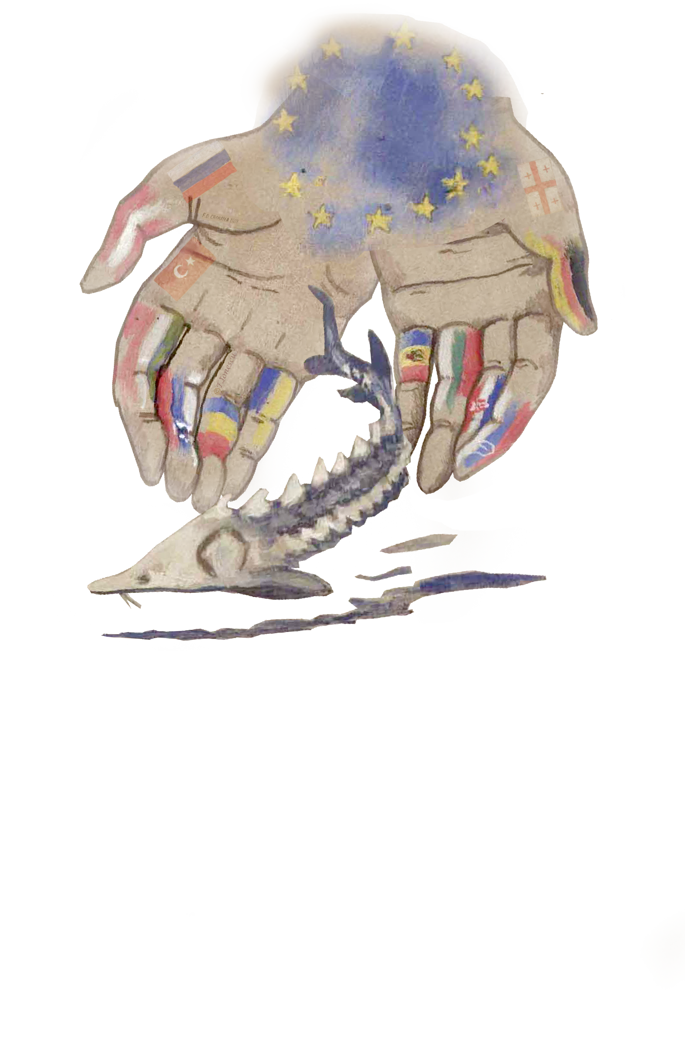 Galati Declaration On Sturgeon Conservation In The Danube Basin And The